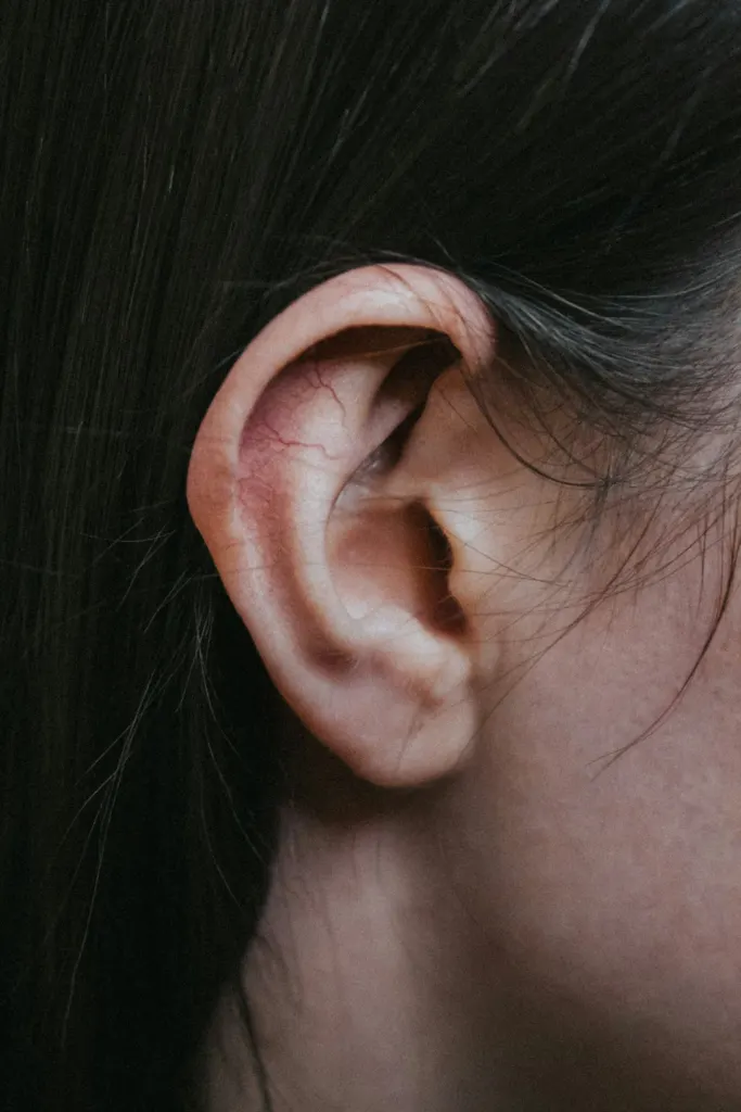 Detalle de una oreja